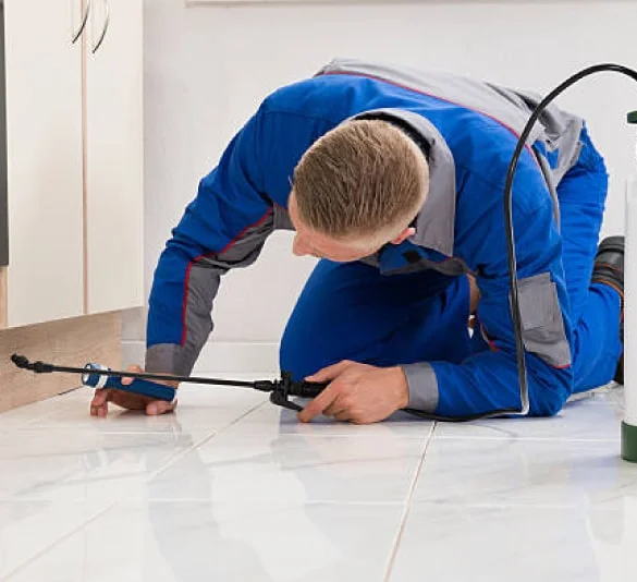 pest control craigieburn